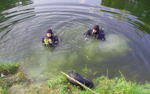 pond muck removal divers